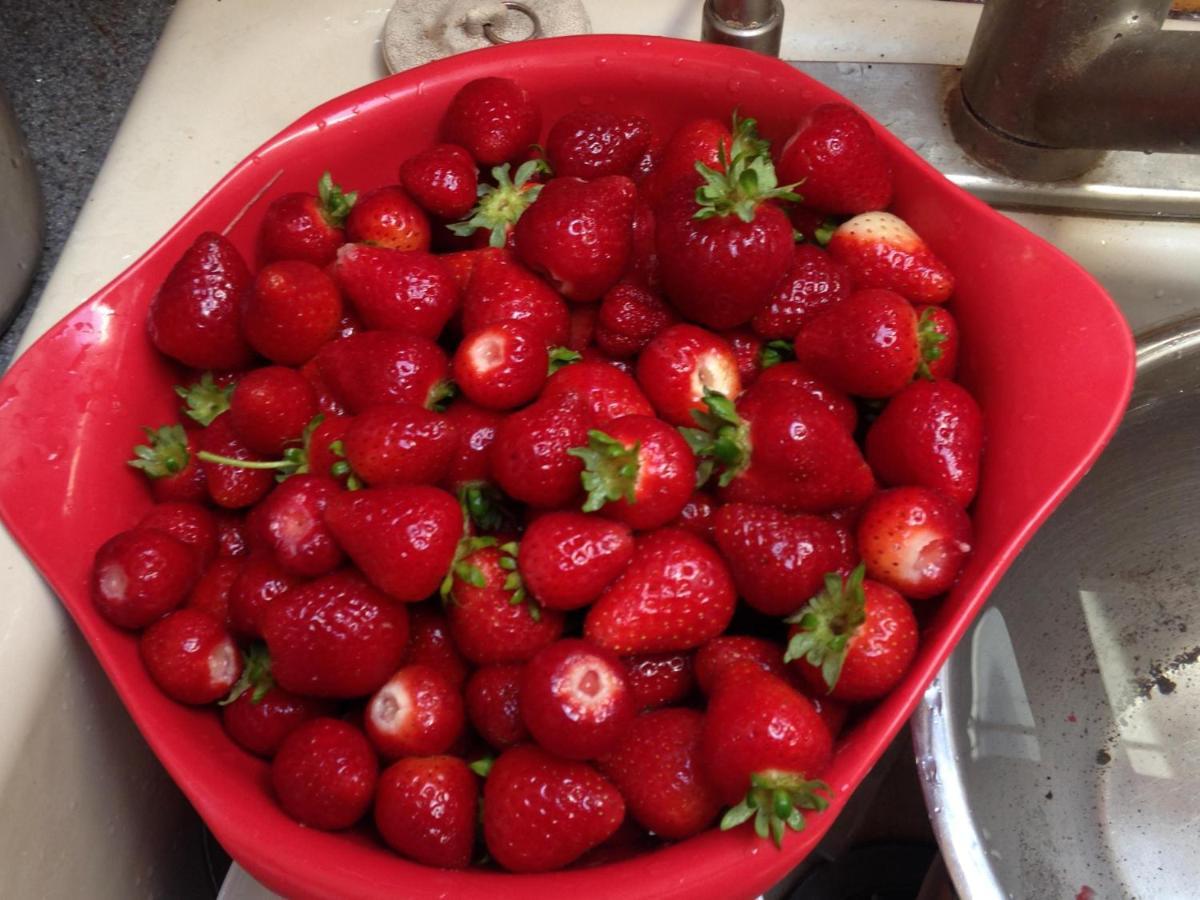 Nettles Farm Hotel Lummi Island ภายนอก รูปภาพ